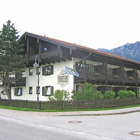 Alpina.8